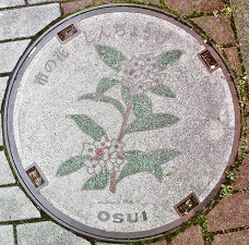 ���c���s�}���z�[��