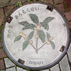 ���c���s�}���z�[��