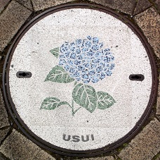 ���c���s�}���z�[��