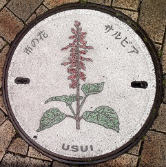 ���c���s�}���z�[��