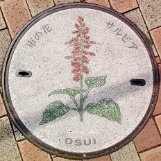 ���c���s�}���z�[��