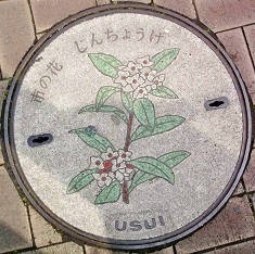 ���c���s�}���z�[��