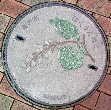 ���c���s�}���z�[��