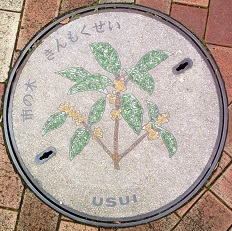 ���c���s�}���z�[��