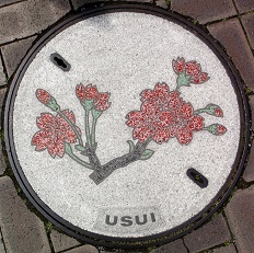 ���c���s�}���z�[��