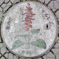 ���c���s�}���z�[��