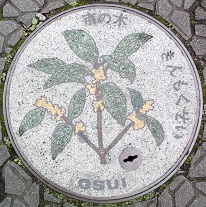 ���c���s�}���z�[��