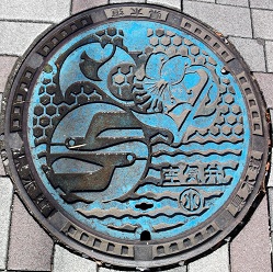 �_�ސ쌧��C��