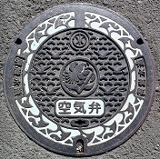 �_�ސ쌧��C��