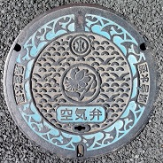 �_�ސ쌧��C��