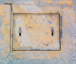 �ɓ����������ΐ�