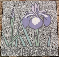 �ɓ��������Δ�