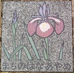 �ɓ��������Δ�