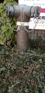 ���c�s�A��������