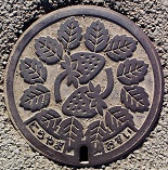 �B�R���}���z�[��