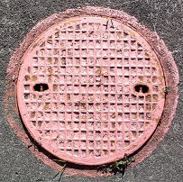 �B�R���}���z�[��