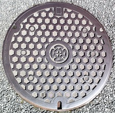 �C�P�����}���z�[��