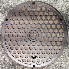 �C�P�����}���z�[��