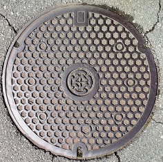 �C�P�����}���z�[��