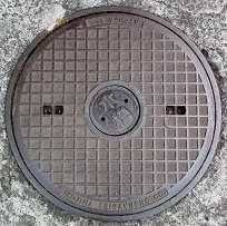 �C�P�����}���z�[��