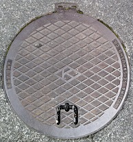 �C�P�����}���z�[��