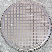 �C�P�����}���z�[��