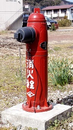 �C�P�������̏��ΐ�