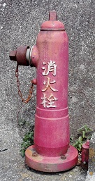 �C�P�������̏��ΐ�