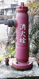 �C�P�������̏��ΐ�