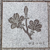 �����s�ܐ�