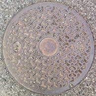 �_�蒬�}���z�[��