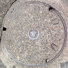 �_�蒬�}���z�[��