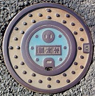 �_�蒬������