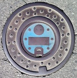 �_�蒬������