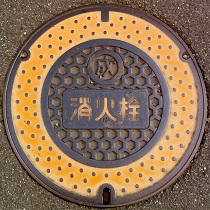 ���c�s���ΐ�