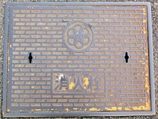 ���c�s���ΐ�