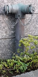 ���c�s������