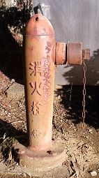 ���c�s���̏��ΐ�