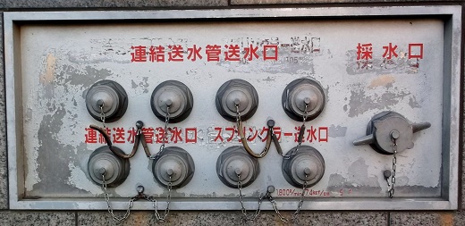 ���c�s�A�������Ǒ������^�̐���