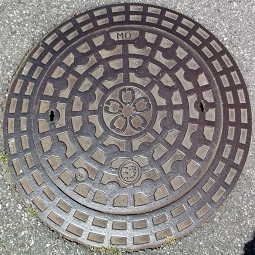 ���q�s�}���z�[��