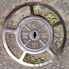 ���q�s������