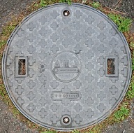 ���l���򉻑��W