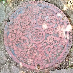 ��ɕ{�s�}���z�[��