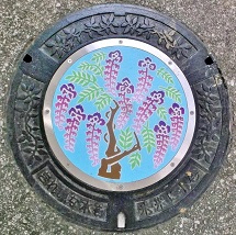 �q�~�s�}���z�[��