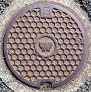 ���_���}���z�[��