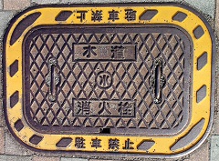 ���_�����ΐ�