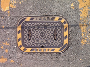 ���_�����ΐ�