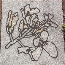 ���_������