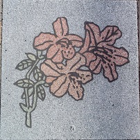 ���_������