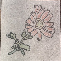 ���_������